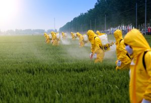 Pesticides-Spray